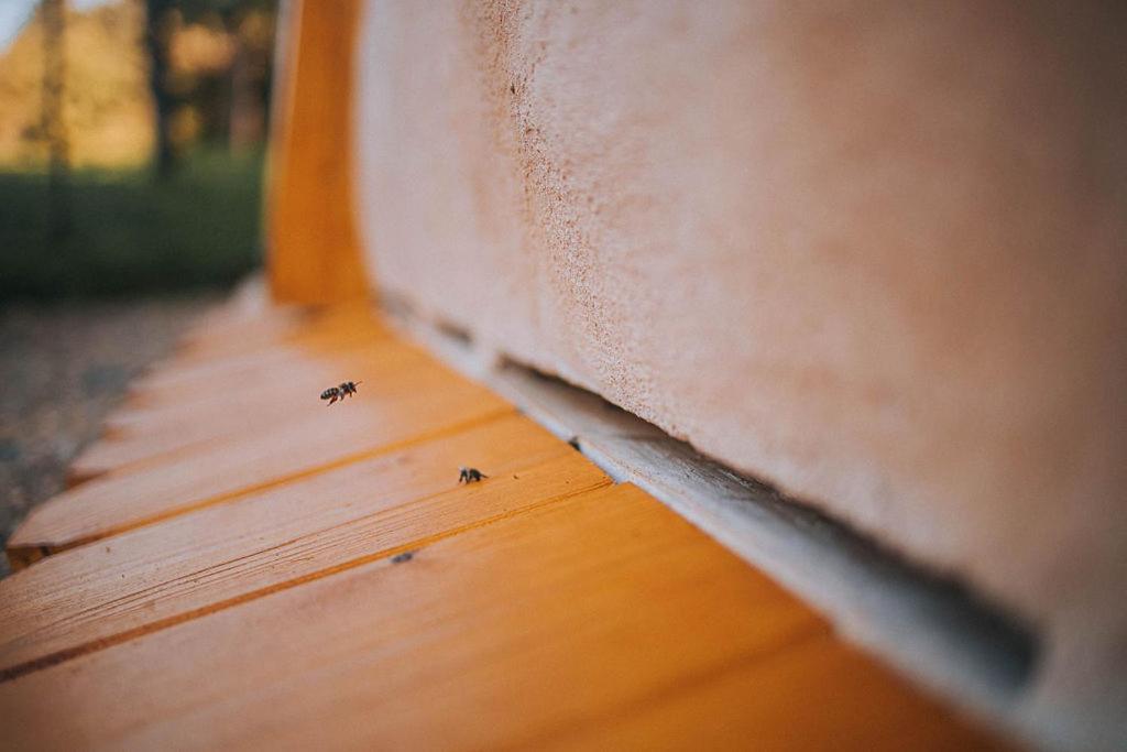 Sleeping With Bees - Tourist Farm Muha Διαμέρισμα Grosuplje Εξωτερικό φωτογραφία